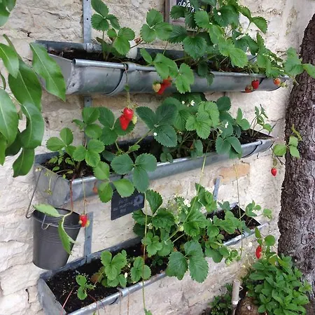 Konukevi Maison & Tartine 3*