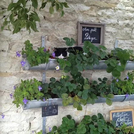 Maison & Tartine Colombey-les-deux-Églises