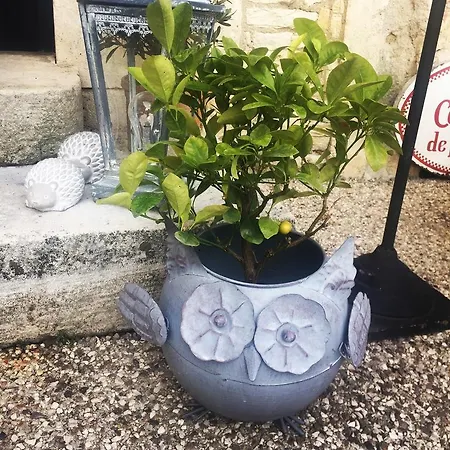 Konukevi Maison & Tartine 3*