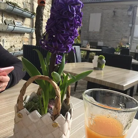 Maison & Tartine *