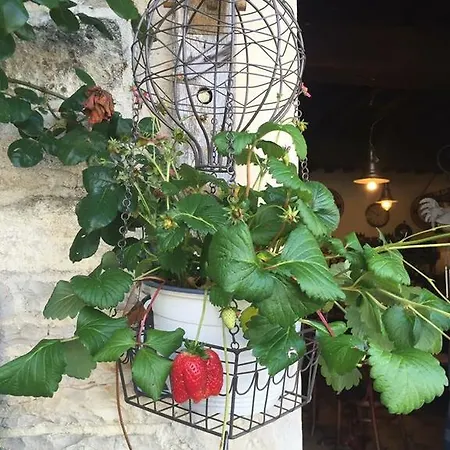 Maison & Tartine 3*